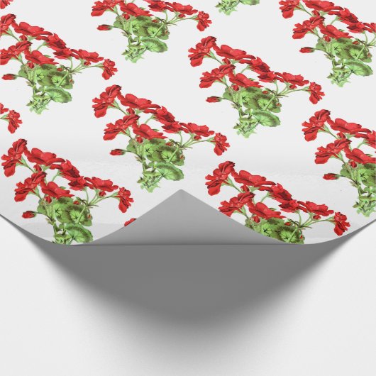 Papier Cadeau Fleur de géranium rouge Design (Coin)