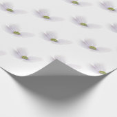 Papier Cadeau Fleur de Lavande Cosmos sur Blanc (Coin)