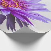 Papier Cadeau Fleur de lotus pourpre Zen (Coin)