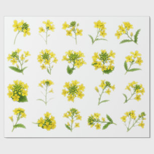 Papier Cadeau Fleur de Moutarde Jaune Ensemble Botanique de Fleu