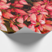 Papier Cadeau Fleur de Noël Poinsettia (Coin)