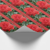 Papier Cadeau Fleur de rose rouge en fleurs (Coin)