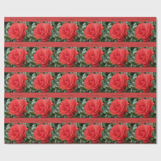 Papier Cadeau Fleur de rose rouge en fleurs (Plat)