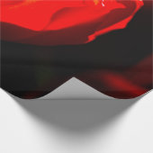 Papier Cadeau Fleur de tulipe rouge - Feu (Coin)