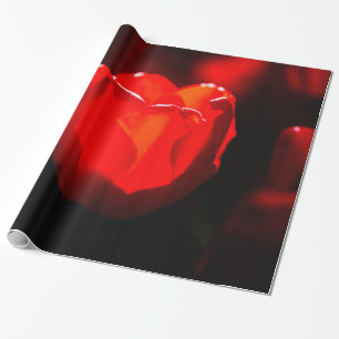 Papier Cadeau Fleur de tulipe rouge - Feu