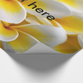 Papier Cadeau Fleur Frangipani Plumeria (Coin)