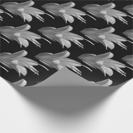 Papier Cadeau Fleur Hosta en noir et blanc (Coin)