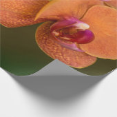 Papier Cadeau Fleur orchidée orange (Coin)