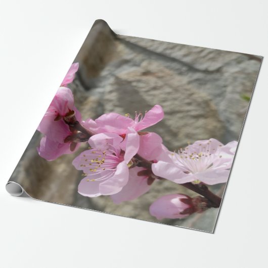 Papier Cadeau Fleur pétale (Déroulé)
