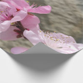 Papier Cadeau Fleur pétale (Coin)