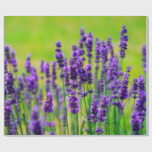 Papier Cadeau Fleur pourpre de lavande (Plat)