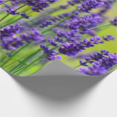 Papier Cadeau Fleur pourpre de lavande (Coin)