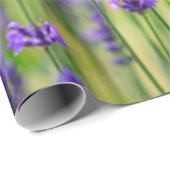 Papier Cadeau Fleur pourpre de lavande (Coin rond)