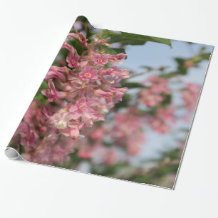 Papier Cadeau fleur rose