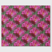 Papier Cadeau Fleur rose Motif Nature (Plat)