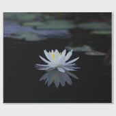 Papier Cadeau Fleur Zen Lotus Blanc (Plat)