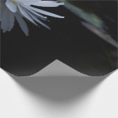 Papier Cadeau Fleur Zen Lotus Blanc (Coin)