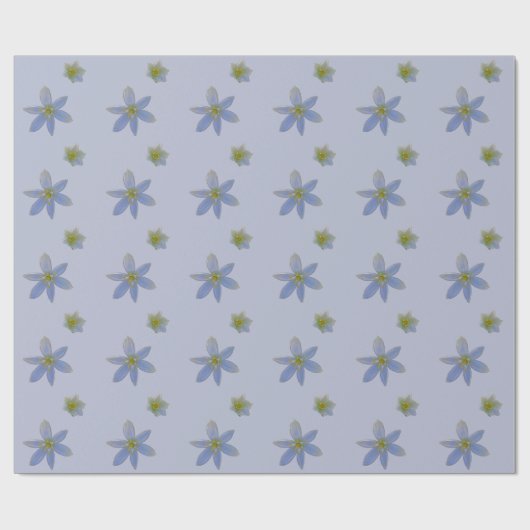Papier Cadeau fleurir en blanc (Plat)