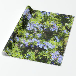 Papier Cadeau fleurs bleues de romarin sur le vert