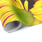 Papier Cadeau Fleurs colorées, marguerites - Rose Jaune Bleu (Coin rond)