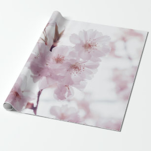 PAPIER CADEAU FLEURS DE BLOSOMES DE CHERRY
