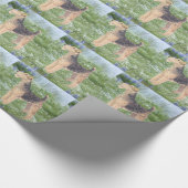 Papier Cadeau Fleurs de campagne (Coin)