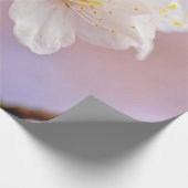 Papier Cadeau Fleurs de cerises blanches fraîches mignonnes Saku (Coin)