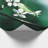 Papier Cadeau Fleurs de cerisier blanches (Coin)