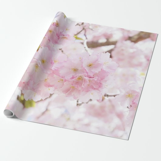 Papier Cadeau Fleurs de cerisier roses de Sakura d'arbre (Déroulé)