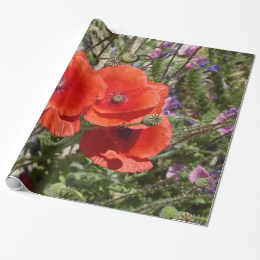 PAPIER CADEAU FLEURS DE COQUELICOT (Déroulé)