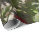 PAPIER CADEAU FLEURS DE COQUELICOT (Coin rond)