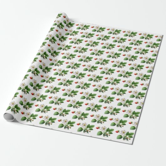 Papier Cadeau Fleurs de fraises sur blanc (Déroulé)