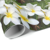 Papier Cadeau Fleurs de Plumeria d'Hawaï (Coin rond)
