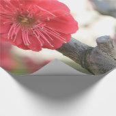 Papier Cadeau fleurs de prune fleurs rose de printemps enveloppe (Coin)