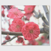 Papier Cadeau fleurs de prune fleurs rose de printemps enveloppe (Plat)