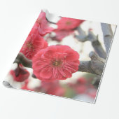 Papier Cadeau fleurs de prune fleurs rose de printemps enveloppe (Déroulé)