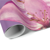 Papier cadeau Fleurs de ressort rose (Coin rond)