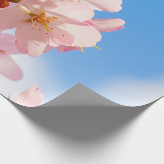 Papier Cadeau Fleurs De Sakura Cute Ouverte Au Soleil Du Printem (Coin)