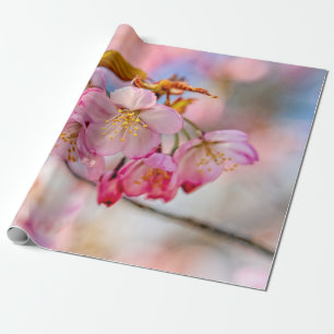 Papier Cadeau Fleurs De Sakura Luxueuses Dans Le Jardin Du Print