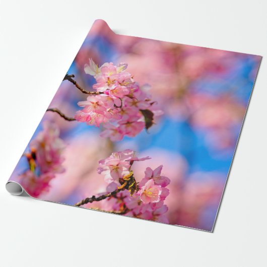 Papier Cadeau Fleurs De Sakura Riche Et Douce Par Un Jour Ensole (Déroulé)
