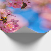 Papier Cadeau Fleurs De Sakura Riche Et Douce Par Un Jour Ensole (Coin)