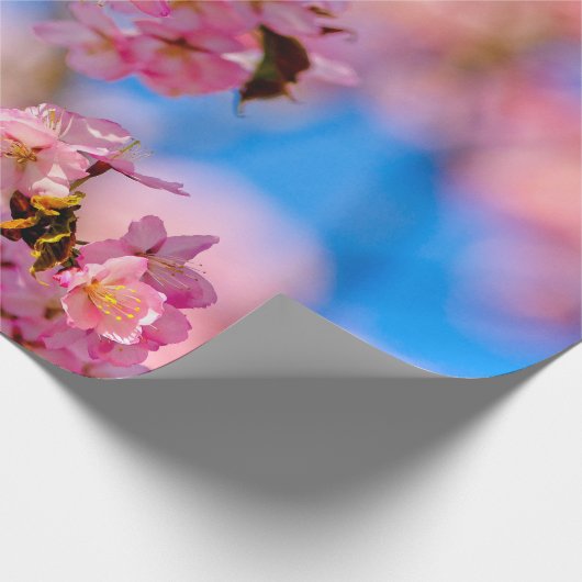 Papier Cadeau Fleurs De Sakura Riche Et Douce Par Un Jour Ensole (Coin)