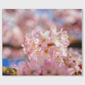 Papier Cadeau Fleurs De Sakura Rose Étonnantes Et Extraordinaire (Plat)