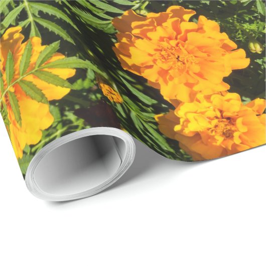 Papier Cadeau Fleurs de souci (Coin rond)