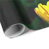 Papier Cadeau Fleurs de tulipe jaune (Coin rond)