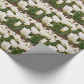 Papier Cadeau Fleurs de tulipes blanches (Coin)