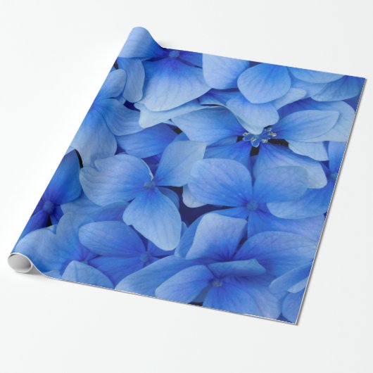 Papier Cadeau Fleurs d'Hydrangée Bleue (Déroulé)