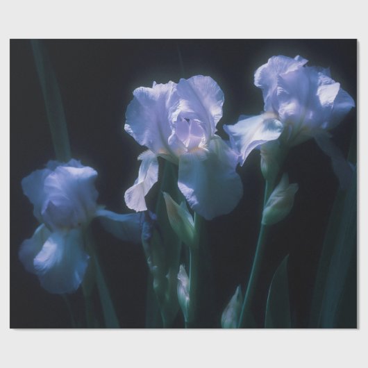 Papier Cadeau Fleurs d'Iris au Crépuscule (Plat)