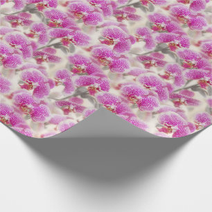 Papier Cadeau Fleurs d'orchidées Floral rose
