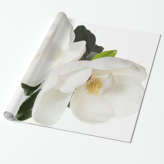 Papier Cadeau Fleurs florales de magnolia de magnolias blanches (Déroulé)